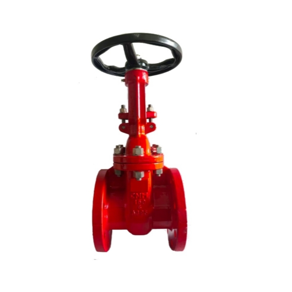 Stainless Steel 316L Gate Valve